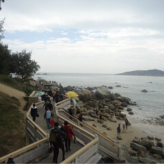 景点模块 