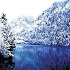 小交通模块 