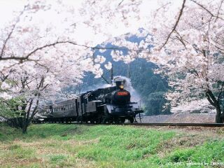 日本大阪旅行團(tuán)旅游報(bào)價(jià)_日本大阪旅游大概多少錢(qián)_日本大阪旅游組團(tuán)