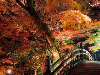 日本大阪旅行團(tuán)旅游報(bào)價(jià)_日本大阪旅游大概多少錢(qián)_日本大阪旅游組團(tuán)