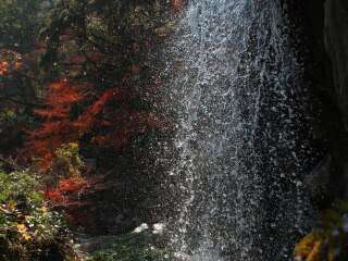 日本大阪旅行團(tuán)旅游報(bào)價(jià)_日本大阪旅游大概多少錢(qián)_日本大阪旅游組團(tuán)