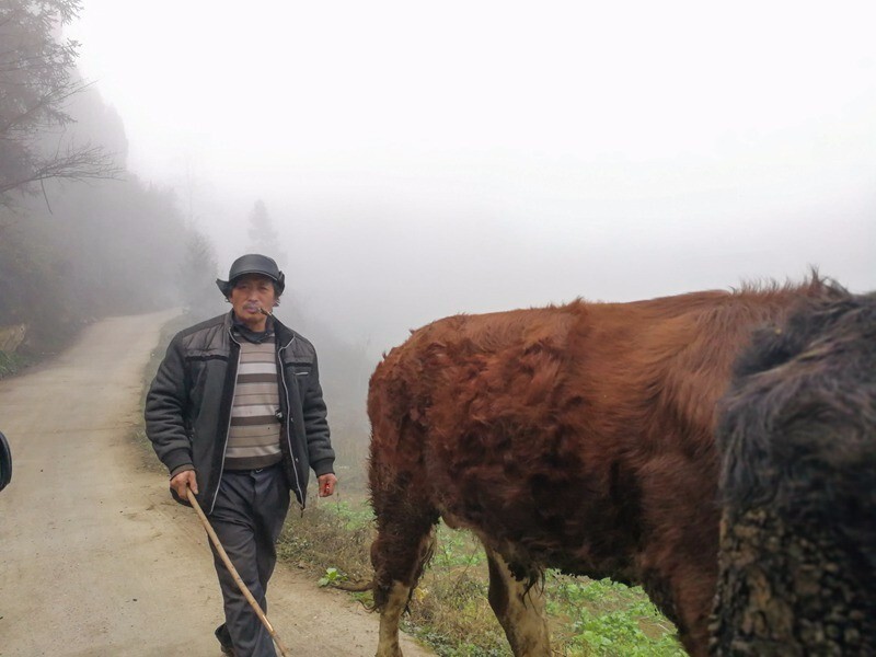 春节乡村游叙永县分水镇木格倒传统村落花山节