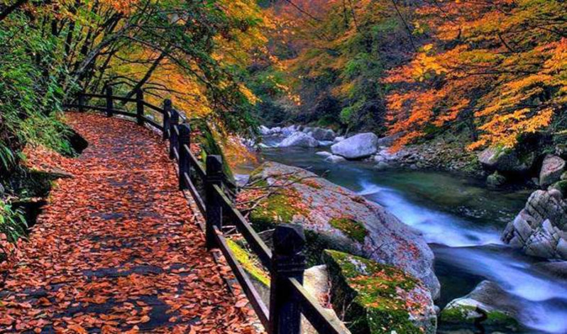 光雾山人文风景游