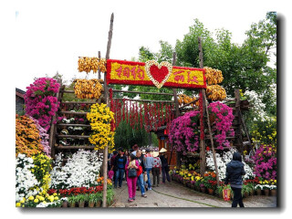 西双版纳旅游团观光_出发西双版纳旅游_西双版纳几日游最好