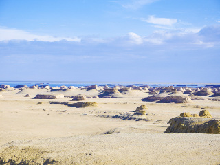 现在去青海旅游多少钱_青海自由行旅游团_期间青海旅游跟团