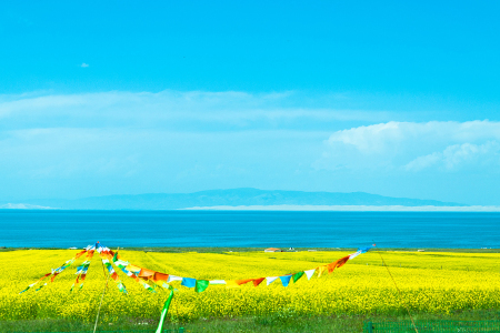 <青海湖小环湖1日游>相约青海湖，畅玩五A级景区，游玩时间充足，纯玩耍，不套路收费