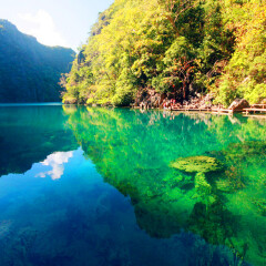 活动模块 