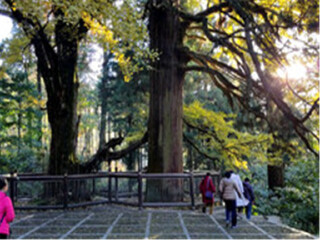 怎么去江西廬山旅游_江西廬山旅游大概多少錢_報(bào)團(tuán)去江西廬山多少錢