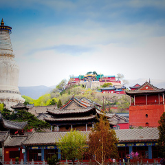景点模块 