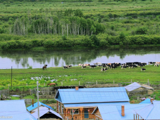 呼伦贝尔国际旅行_呼伦贝尔旅游组团旅游_呼伦贝尔旅游多少价格