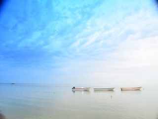 呼伦贝尔7日游旅行团_2023去呼伦贝尔跟团多少钱_旅游呼伦贝尔