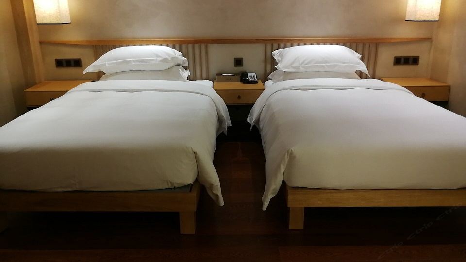 标准双床房