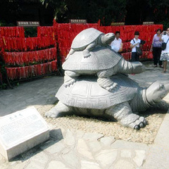 景点模块 