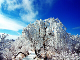 跟團(tuán)東北長(zhǎng)白山旅游價(jià)格表_去東北長(zhǎng)白山旅游要多少錢(qián)_東北長(zhǎng)白山最適合旅游的季節(jié)