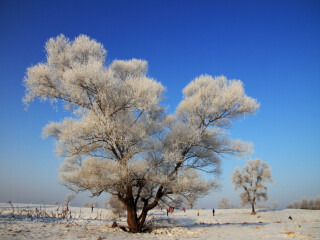 亞布力雪鄉(xiāng)旅行團(tuán)_亞布力雪鄉(xiāng)旅游多少錢_亞布力雪鄉(xiāng)游組團(tuán)