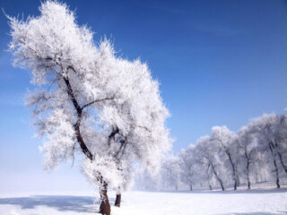 亞布力雪鄉(xiāng)旅行團(tuán)_亞布力雪鄉(xiāng)旅游多少錢_亞布力雪鄉(xiāng)游組團(tuán)
