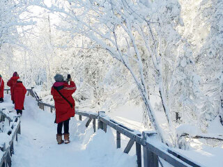 亞布力雪鄉(xiāng)自由行組團_亞布力雪鄉(xiāng)自由行費用_去亞布力雪鄉(xiāng)報團多少錢