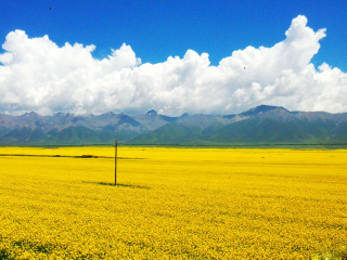 到西寧旅游_西寧游花多少錢_西寧高端品質(zhì)旅游團