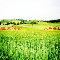 小交通模块 
