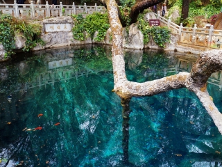 云南大理麗江旅游最佳路線_云南大理麗江旅行團(tuán)自由行_2021年云南大理麗江旅游團(tuán)報(bào)價(jià)