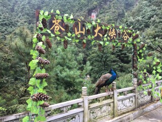 云南大理麗江旅游最佳路線_云南大理麗江旅行團(tuán)自由行_2021年云南大理麗江旅游團(tuán)報(bào)價(jià)