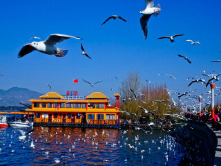 尼泊爾旅行團(tuán)旅游報(bào)價(jià)_到尼泊爾旅游_尼泊爾旅游團(tuán)報(bào)價(jià)2021