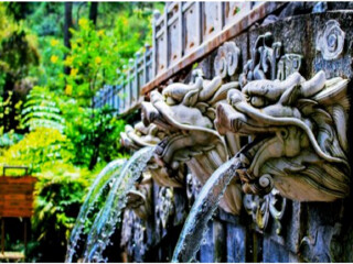 去云南麗江靠譜的旅行團(tuán)_現(xiàn)在去云南麗江旅游多少錢_報(bào)團(tuán)去云南麗江多少錢