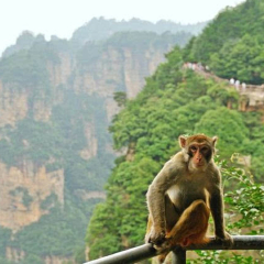 景点模块 