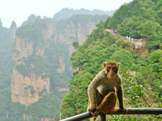 張家界天門(mén)山玻璃棧道旅游團(tuán)報(bào)價(jià)2021_張家界天門(mén)山玻璃棧道旅游團(tuán)報(bào)價(jià)自由行_張家界天門(mén)山玻璃棧道旅游費(fèi)用