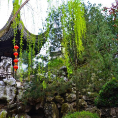 景点模块 