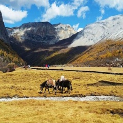 景点模块 