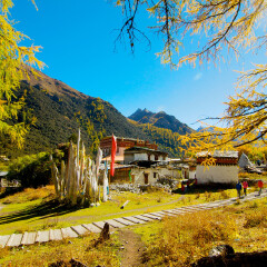 景点模块 