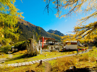四川稻城亞丁旅游要多少錢跟團_旅游去四川稻城亞丁_四川稻城亞丁報團旅游多少錢