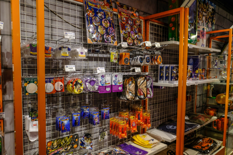 燕楠酱】初探霓虹,暴走东京!12天日本自由行(上