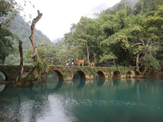 貴州黃果樹瀑布旅游花費(fèi)一般多少_貴州黃果樹瀑布游跟團(tuán)多少錢_貴州黃果樹瀑布旅游價(jià)格