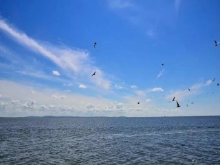 呼倫貝爾旅游跟團(tuán)多少錢(qián)_呼倫貝爾游 旅行團(tuán)_呼倫貝爾私人定制旅游