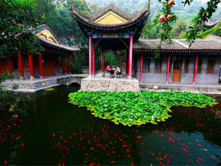 六月至云台山-龙门石窟-少林寺旅游_云台山-龙门石窟-少林寺特价旅游团报价_云台山-龙门石窟-少林寺旅游六日