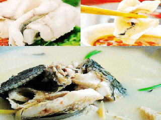 桂林陽(yáng)朔跟團(tuán)游與自由行_桂林陽(yáng)朔旅游多少錢(qián)_桂林陽(yáng)朔旅行團(tuán)旅游報(bào)價(jià)