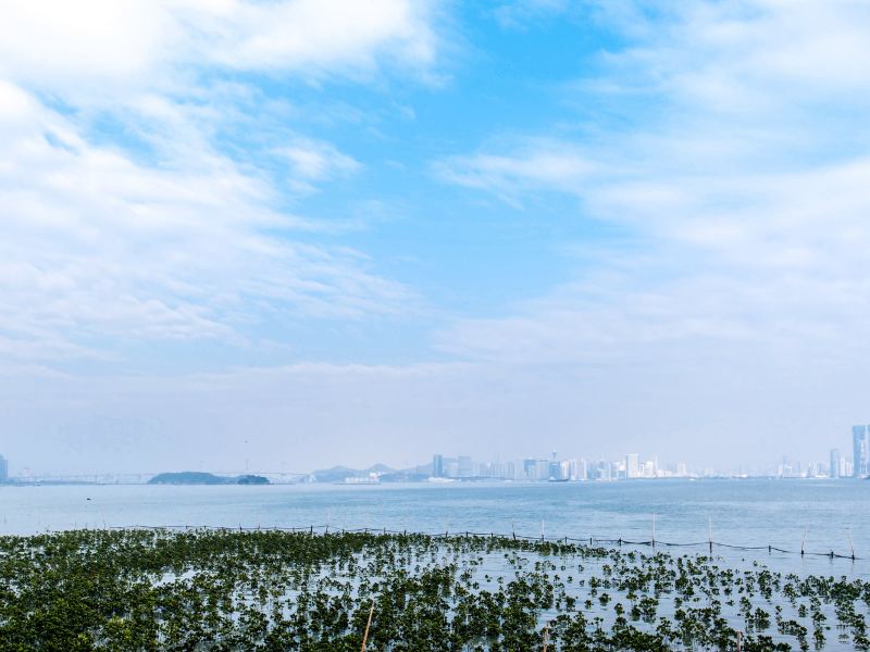 厦门又见花开公寓(百草园分店)