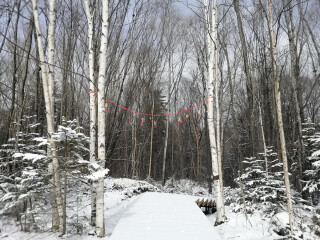 特價吉林長白山游_到吉林長白山旅游_2021去吉林長白山跟團(tuán)多少錢