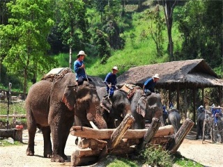 泰國(guó)清邁旅游大約多少錢_泰國(guó)清邁旅游路線_泰國(guó)清邁旅游需要多少錢