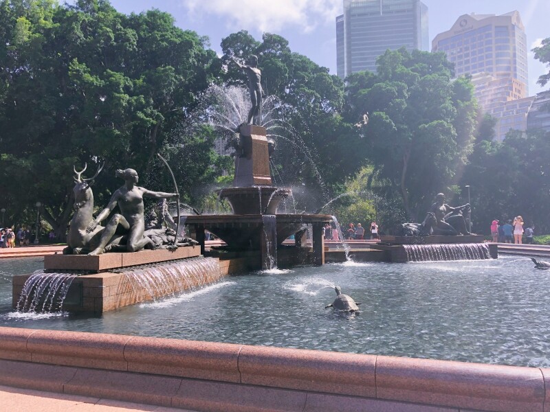 你的世界地图长什么样?美妆博主的澳大利亚春