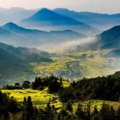 景点模块 