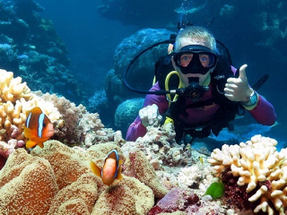 澳大利亞8日游_去澳大利亞游要辦簽證_澳大利亞旅游多少錢