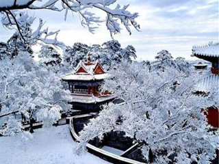 東北長(zhǎng)白山自由行還是跟團(tuán)好_怎么去東北長(zhǎng)白山旅游_旅游團(tuán)東北長(zhǎng)白山