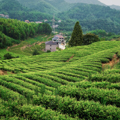 小交通模块 