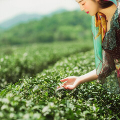 小交通模块 