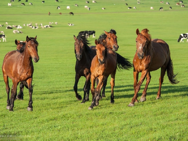 http:\/\/www.tuniu.com\/tour\/210510875