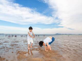 青島游價格_去青島旅游多少錢_青島旅游費用