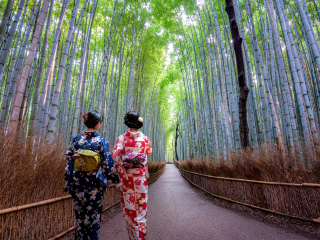 日本游十一天需要多少钱_年底去日本旅游_去日本旅游随团